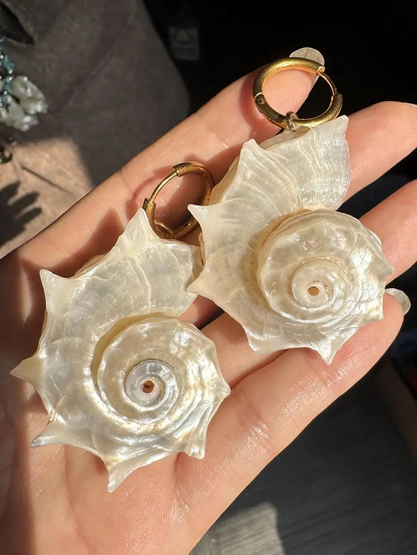 Seashell Earrings